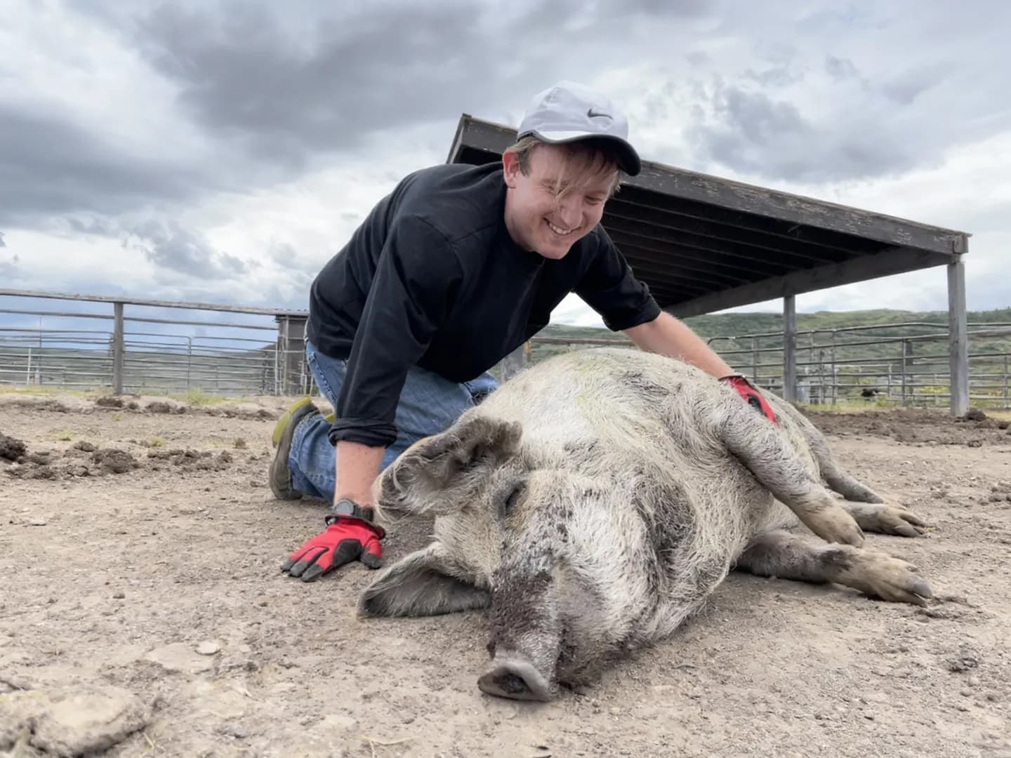 Nate Stone kneeling beside a rescued pig at Sage Mountain Sanctuary